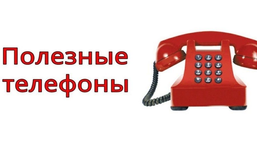 Справочная Аптек Петрозаводска Телефон