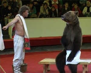 Ялтинцам в День России покажут настоящего медведя