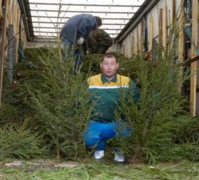 ����� ������� ������� �������