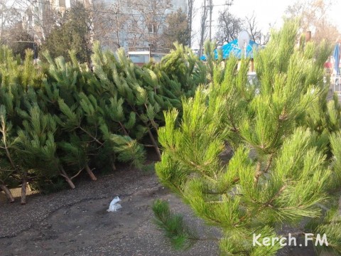 � ���������� ���������� � ����� ��������� ����� 8 ����� �����