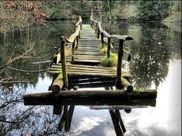 ������������� �������� ����������� ����� �����������