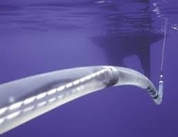 ������������� ���� ������� ���� ��� � ��������� ����