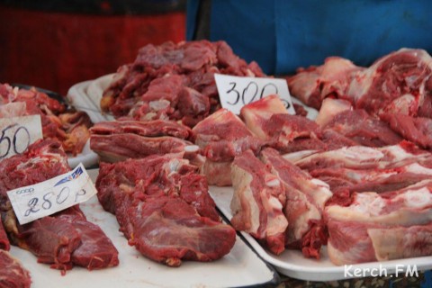 � ����� ������������ ����������� ����