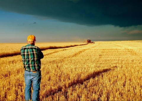 ��������� ������ ����� � �������� ��������� � �����