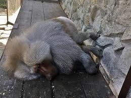 �������� � ������� �������� � ������������� �������