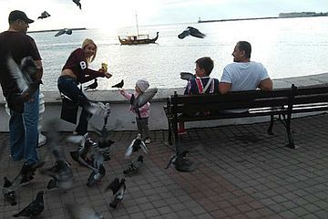 ������������: ������������ ����������� �������� ����� - � �������� ����� �������