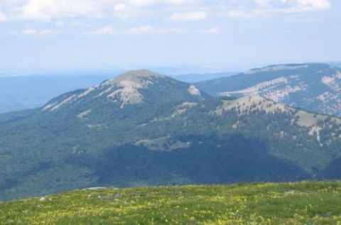 Госкомлес выступил против преобразования крымских заповедников в нацпарки