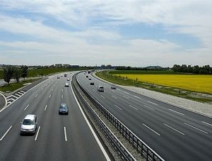 ����������: 20 % ����� ����������� ������������� ����������� �����������