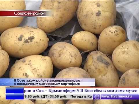 ���� ��������� ���������� � ���� ������, � ��������