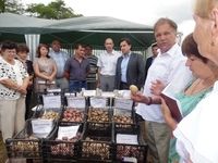 ���� ������������� ����