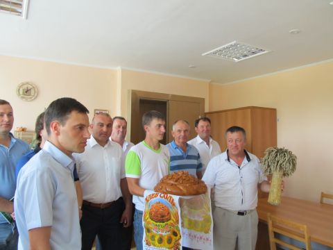  :   -2015    