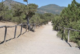 Прокуратура запретила взимать средства за посещение крымских заповедников