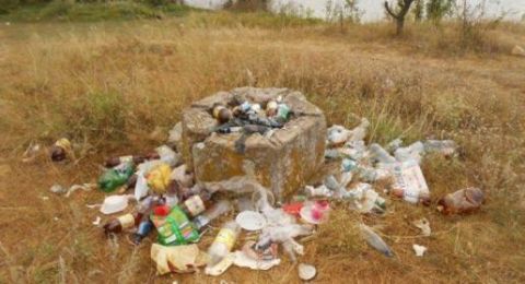 ������ ���������������� ������������� ������������ � ��������� ������