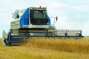 Крым полностью обеспечил себя зерном – глава Минсельхоза РК