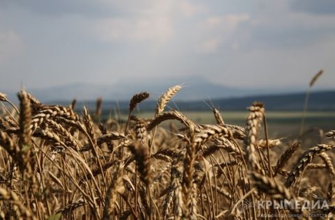 �� ������ �������� ������ � ����� ������� ����� 10 ���. ���� �����