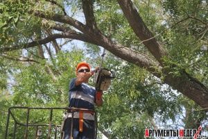 � ����� ������������ ������� ��������