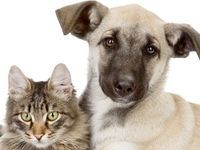 ������������ ����� ������������� ������� ������� � ���� ����������