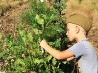 В Бахчисарайском районе прошла экологическая акция «Патриотические тропы России»