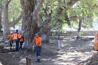 � ������� ���� ����������� ���������� ������� ��������� ��������