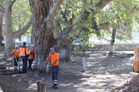 ��������: � ����������� � ������� ���� ���������� ������� ��������� ��������