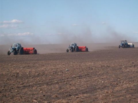 Кто срывает сев озимых?