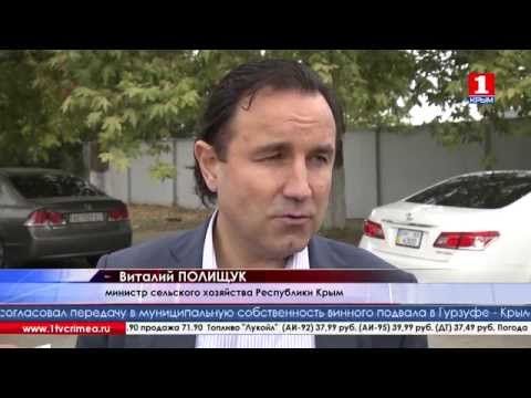 На развитие виноградарства Крыму выделено 340 миллионов рублей