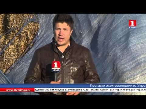 Впервые крымские аграрии получили сертификаты в племенном регистре