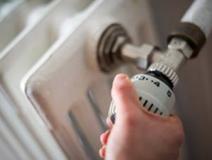 ����� ����� �������� �� ������� ���������� ���������� 100% ������� �����������