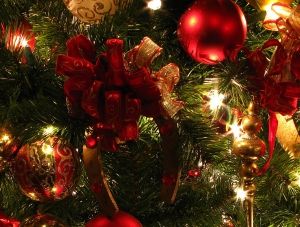 ������� ���� �������� ������� ������� 19 �������