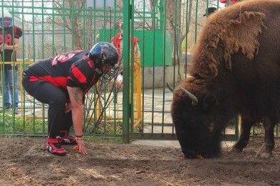 ����� ������ �� ���������������� ��������� ����� �������� ������� �� ������������ �������