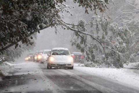 ������ � �������� ��������