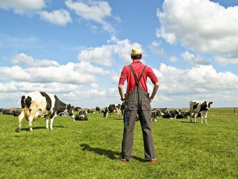 Выжить на своей земле