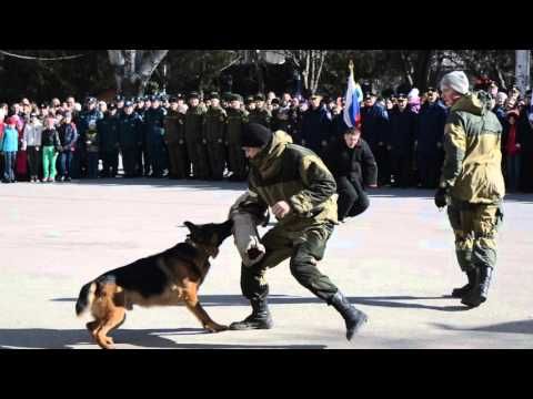 �������� � �������� �������� ���� ��������� ���������