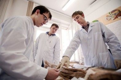 ����������� ��� �������� ����������� ���� � �������� ���������