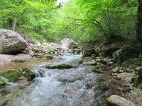 ������� �������: �������� ������ ����� - ���� �� �������� �������� �����������