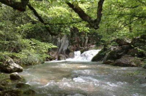 ��������� ������-�������� ����� ����� ������ �������