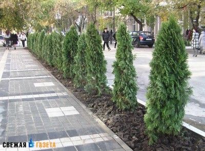 � ����������� ����� ������� ������ ������ ������