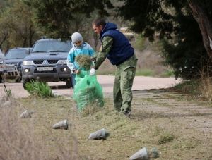 ������������ ������������� ��������� ������ ������ � �����������