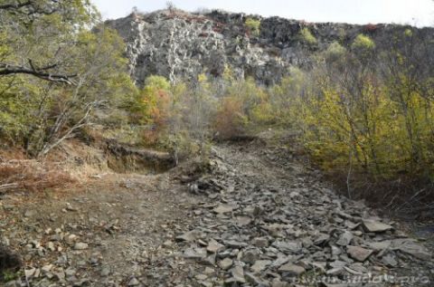 ��� ������ ��������� �� ������������� �������