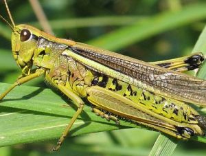 ������� ������ ��������� ������ �� �����