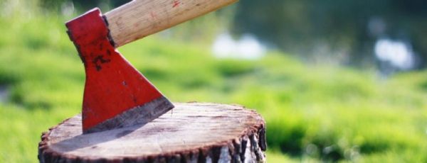 � ������ ����������� ������� ������������ �������