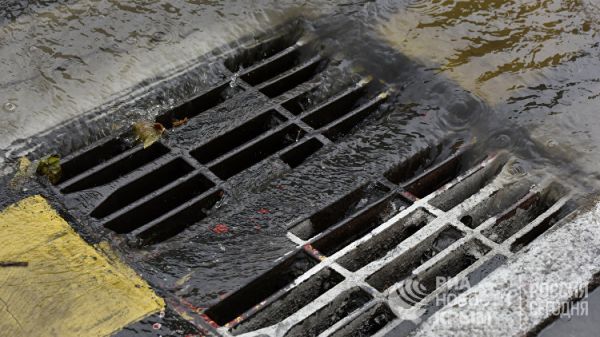 ��� ����������� ���������, ����� � ������ ������ ������� ��������