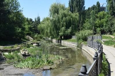 ����� ����������� ��������� �� ������ � ����������