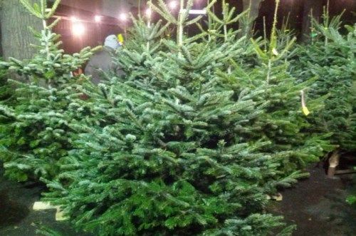 ��� ����������� � ����������� ������� ������ ��������� �����������