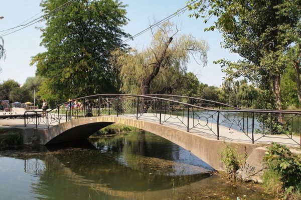 � ����������� ����� ����������� ������������ ������� ��������� ��������