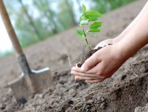 � ����������� ������� �������� �� 20 ��������� ������