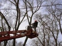 � ����������� ������������ ������ �� ���������� ������� ���������� � ����������� ���������