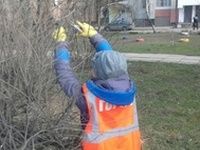 � �������� ������� ������������ ������ �� ���������� ������ ����������