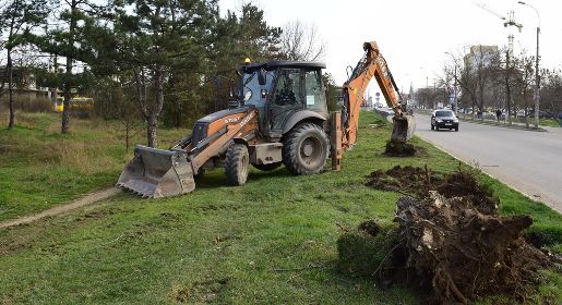 ��������������� ������������� � ��������-���������� ������������ ������� ���� �� ������ �� ������