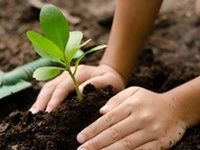 � �������� ������� ������� ���� � �����